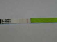 S5030615.jpg