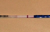 9DPO.jpg
