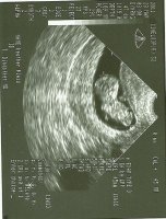 scan0001.jpg