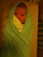 Lottie wrapped up.jpg