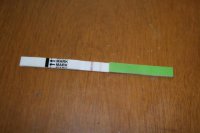 IMG_1826.jpg