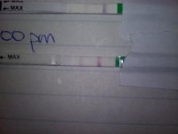 opk2-1.jpg
