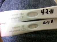 04-02-2011 #2.jpg
