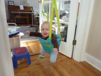 Johnny Jump-Up 5.5 mo.jpg