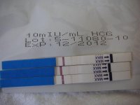 pdsf 007.jpg