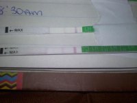 opk3-2.jpg