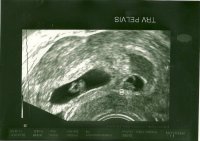 scan0001.jpg