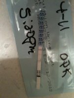 4-11-11 530pm 006.jpg