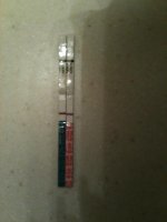 4-11-11 530pm 007.jpg