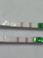 test strips 2.jpg