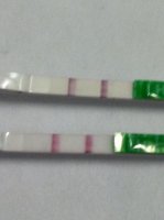 test strips 3.jpg