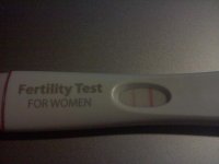 20110404232902.jpg