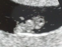 280220111820 - Copy.jpg