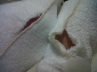 IMG00455-20110324-1954.jpg