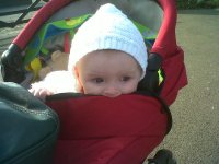IMG00412-20110308-1453.jpg