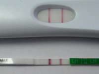 test 2.jpg