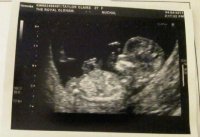scan.jpg