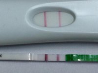 test strips 1.jpg