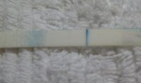 IMAG0560.jpg