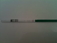 opk.JPG