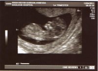 scan1.jpg