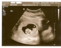 12 wks cropped2.jpg