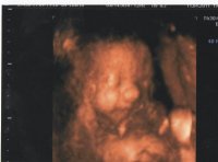 4d scan.jpg