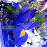 flower.jpg