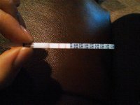 opk.jpg
