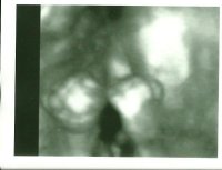 Baby2.jpg