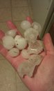 hail041911.jpg