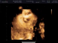BABY WILLIAMS_0028.jpg