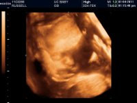 baby girl resting 2.jpg