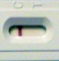 DT 0421_1_cropped_corrected.jpg