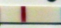 DT 0421_4_cropped_corrected.jpg