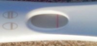 FRER 0421_1_cropped_corrected.jpg