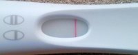 FRER 0421_3_cropped_corrected.jpg