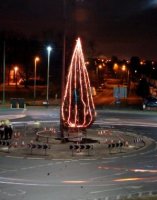 tree2.jpg.display.jpg