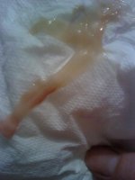 2011-04-22 03.50.26.jpg
