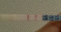 CD14 OPK+.jpg