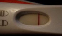 frer.jpg