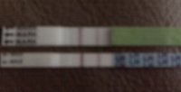 CD15 OPK+.jpg