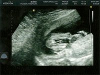 scan0014.jpg