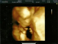 scan0018.jpg