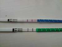 P290411_08.38.jpg