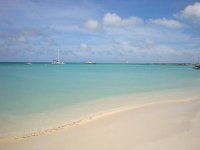 DSC06941.jpg