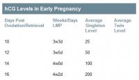 HCG in Early Pregnancy.JPG