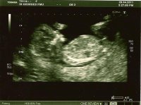 scan2.jpg