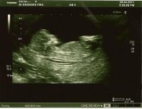 scan 1.jpg