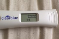 Pregnant.jpg